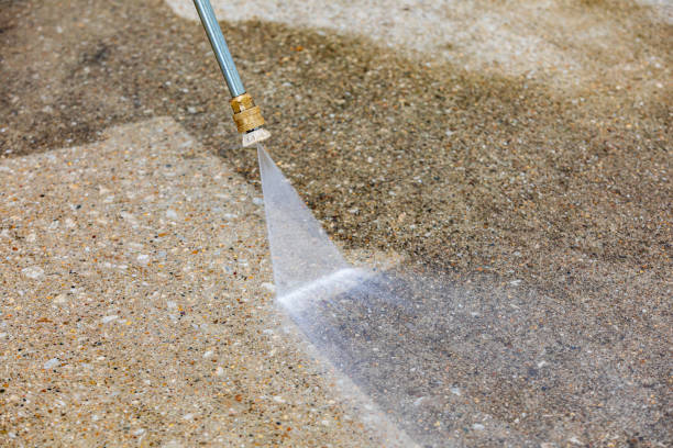Animal Enclosure Cleaning in Mountlake Terrace, WA